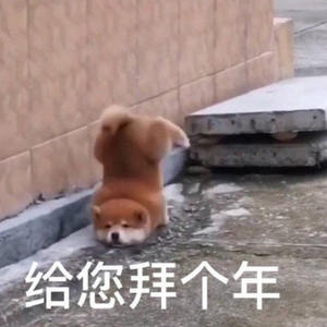 就去吻狠狠的干
